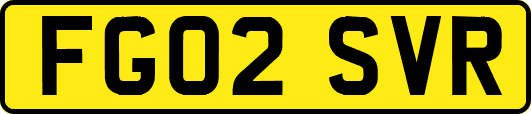 FG02SVR