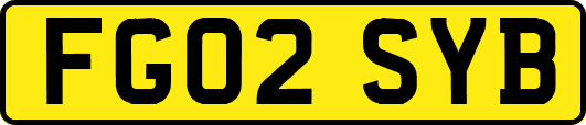 FG02SYB