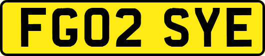 FG02SYE
