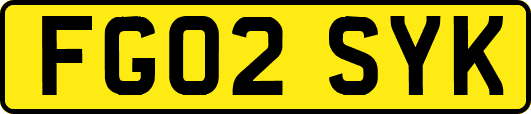 FG02SYK