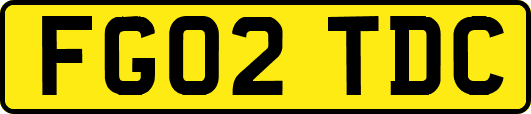 FG02TDC