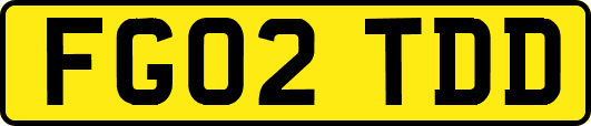 FG02TDD