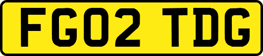 FG02TDG