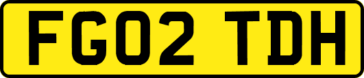 FG02TDH