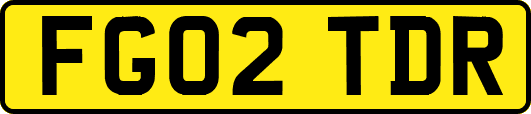 FG02TDR