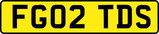 FG02TDS