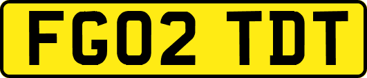 FG02TDT