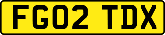 FG02TDX