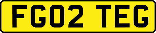 FG02TEG