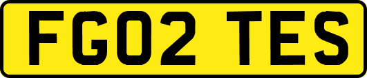 FG02TES