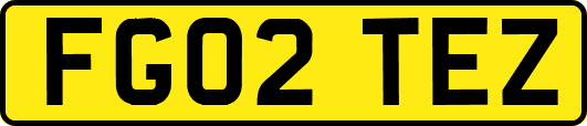 FG02TEZ