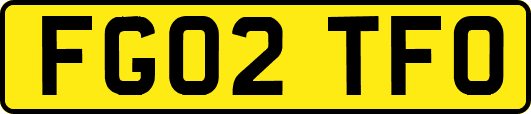FG02TFO