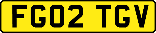 FG02TGV