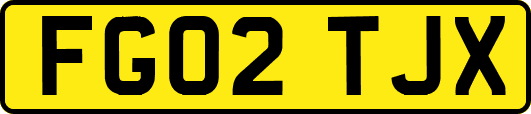 FG02TJX