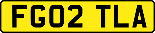 FG02TLA