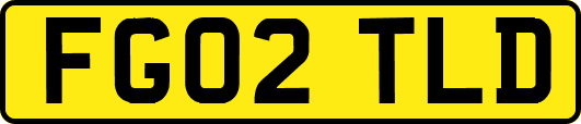 FG02TLD