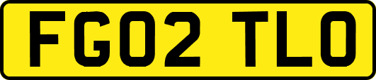 FG02TLO