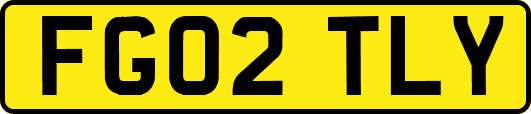 FG02TLY