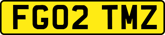 FG02TMZ