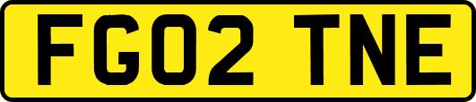 FG02TNE