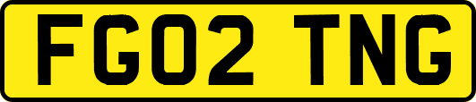 FG02TNG
