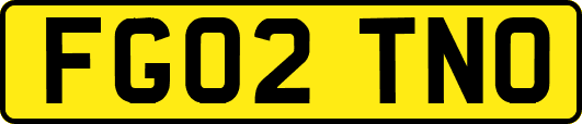 FG02TNO