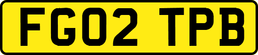 FG02TPB