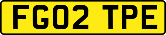 FG02TPE