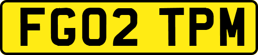 FG02TPM
