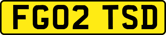 FG02TSD