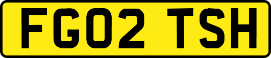 FG02TSH