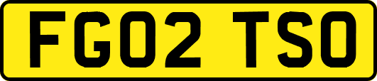 FG02TSO