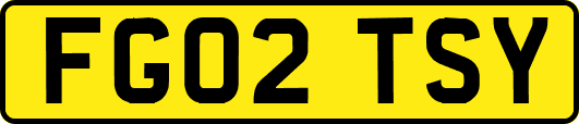 FG02TSY