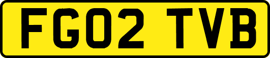 FG02TVB