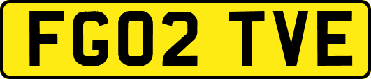 FG02TVE