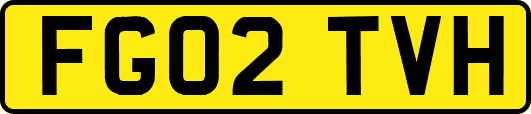 FG02TVH
