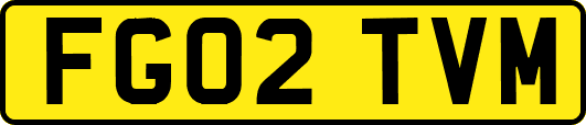 FG02TVM