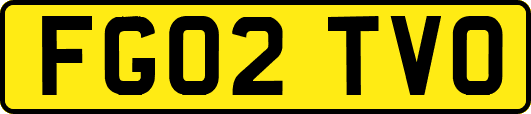 FG02TVO