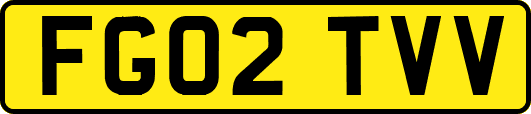 FG02TVV