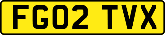 FG02TVX