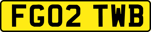 FG02TWB