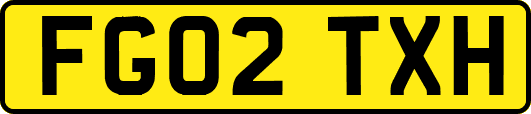 FG02TXH