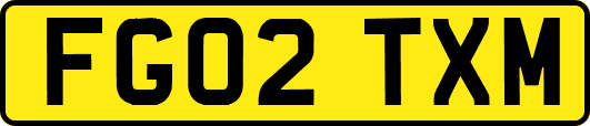 FG02TXM