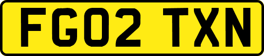 FG02TXN