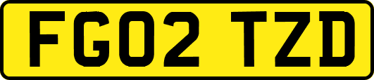 FG02TZD