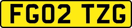 FG02TZG