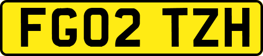 FG02TZH