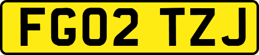 FG02TZJ