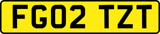 FG02TZT