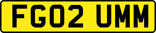 FG02UMM